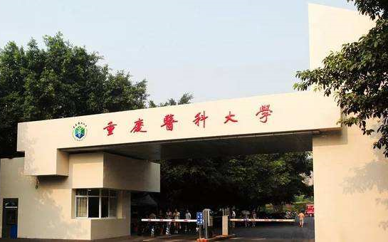 重庆医科大学宣传片2016超清av56050323