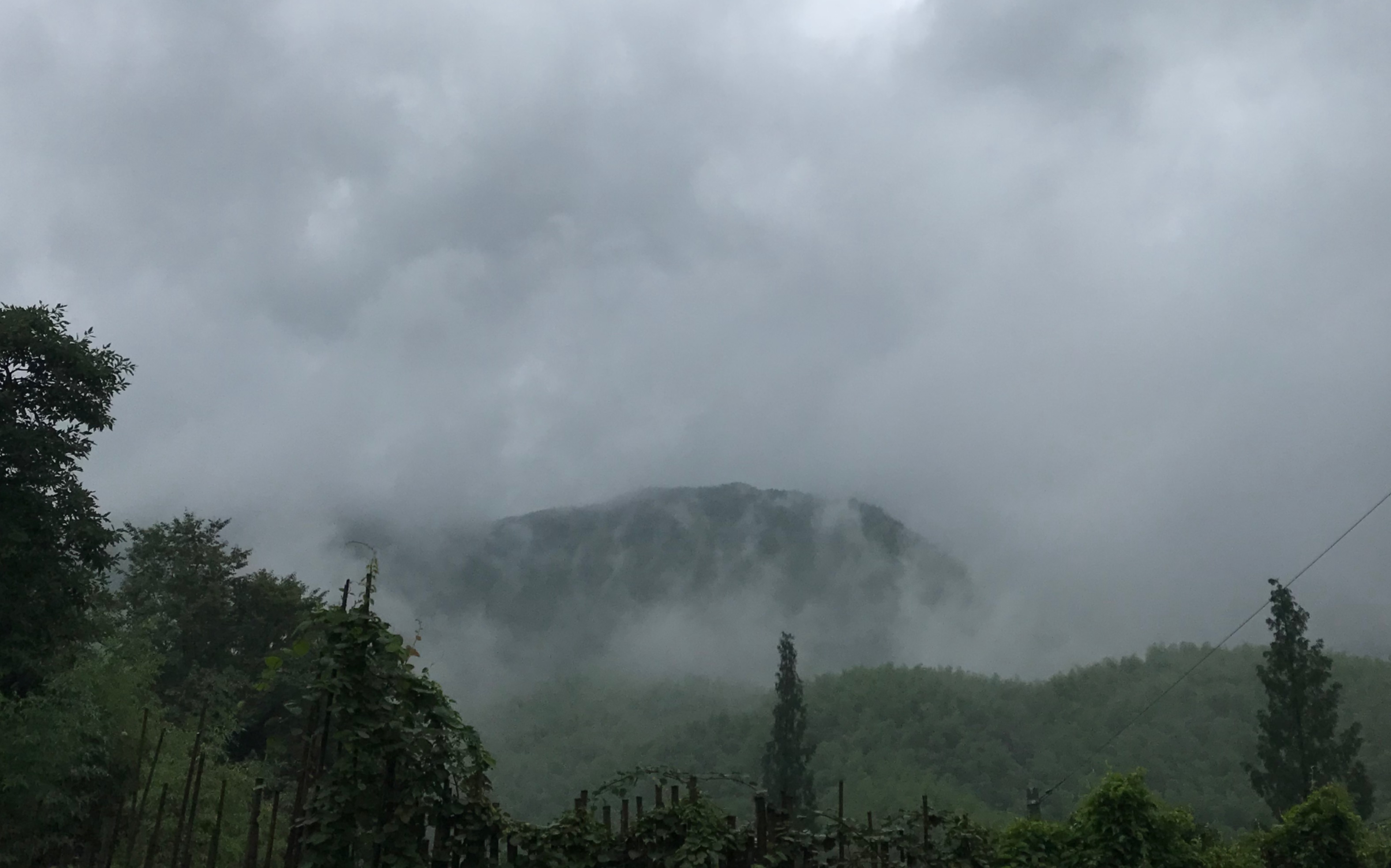 [图]沉浸式｜窥山下的风声、雨声、日落声