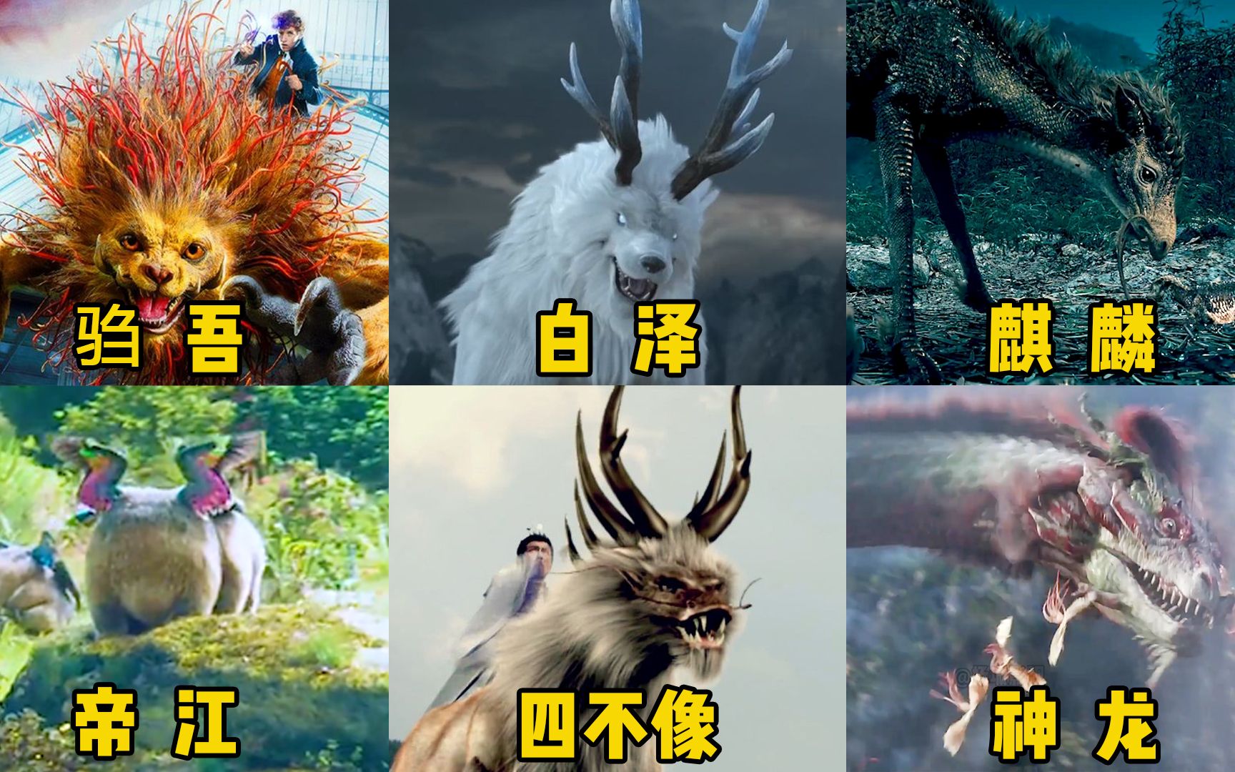 这六个电影里的中国神兽,你觉得哪个更厉害?小麒麟破壳而出_哔哩哔哩_bilibili