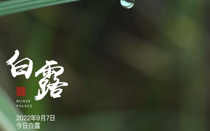 今日『白露』——9月7日哔哩哔哩bilibili