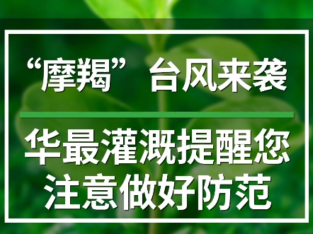 台风来临,农户朋友们该如何做好台风应对措施? #台风#农业#农业技术推广#智慧农业#温室大棚哔哩哔哩bilibili