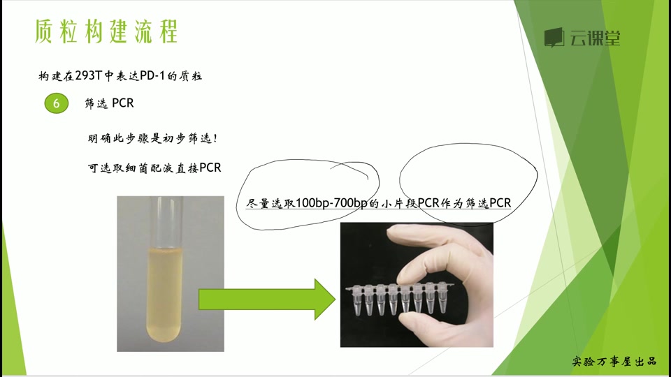 分子生物学哔哩哔哩bilibili