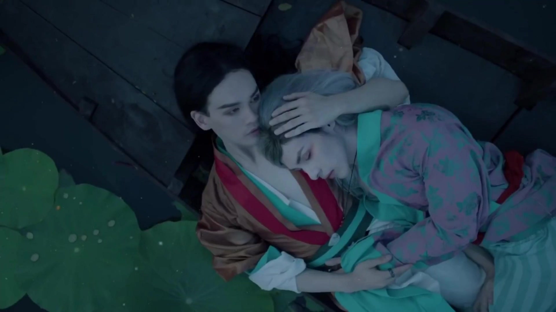 越南神级mvl自心九万字又名王和他的莲花精论王如何与王后争宠莲花作