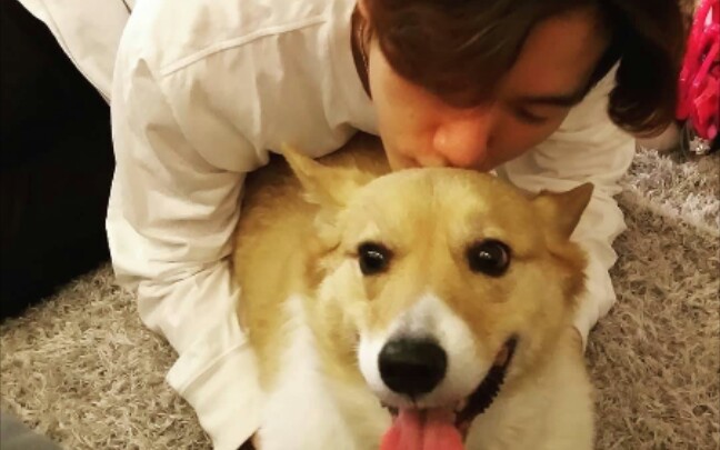 【伯贤/梦龙】是啵啵的梦龙呀(持更)