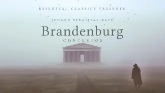 醉佳古典音乐！巴赫！六首勃兰登堡协奏曲！古典音乐珍品！Bach - Brandenburg Concertos