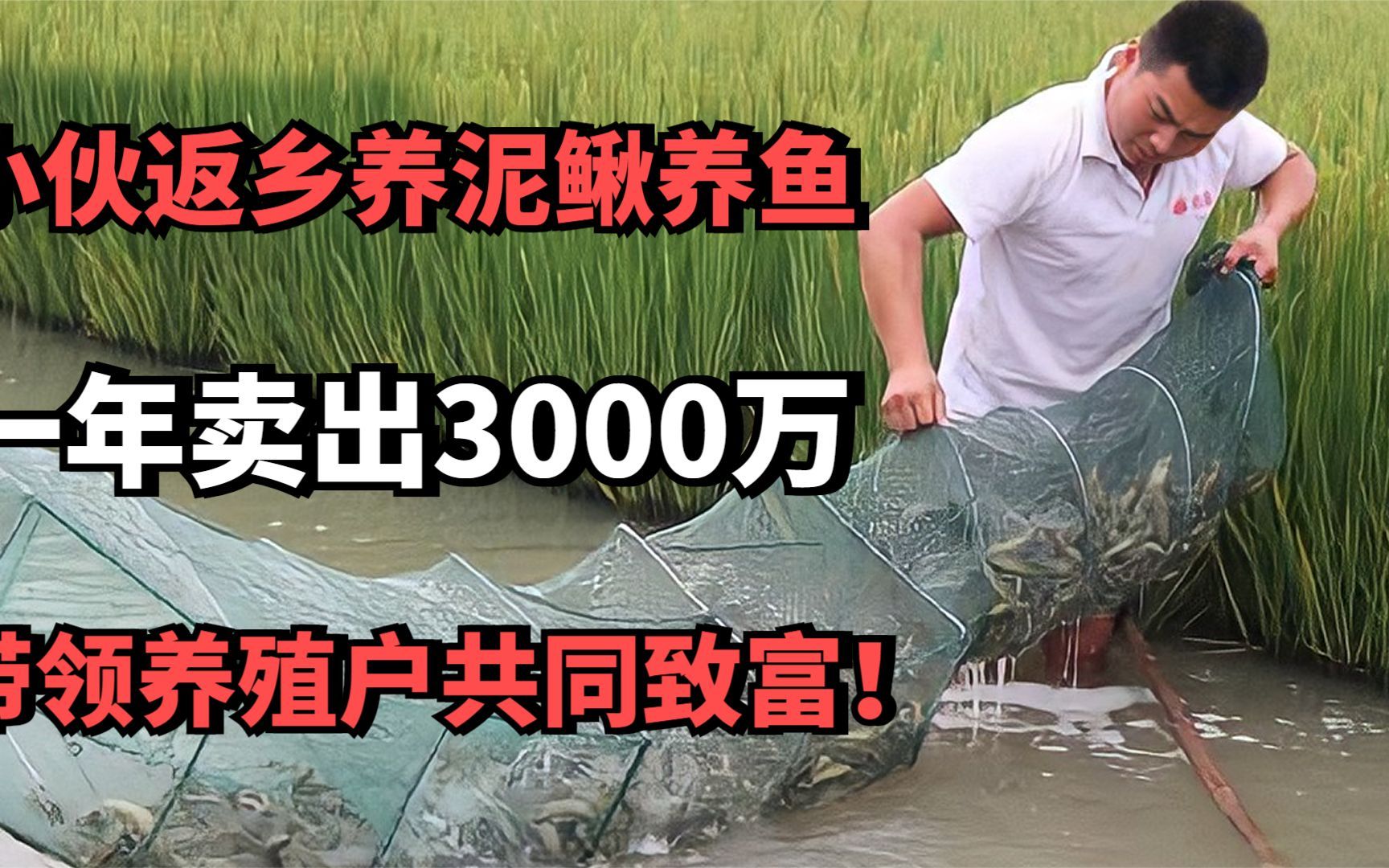 80后小伙返乡养泥鳅养鱼,一年卖出3000万,带领养殖户共同致富!哔哩哔哩bilibili