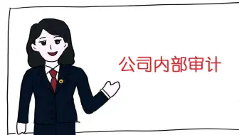读懂企业内部审计法