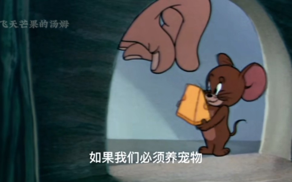 杰瑞最爱吃的就是奶酪了