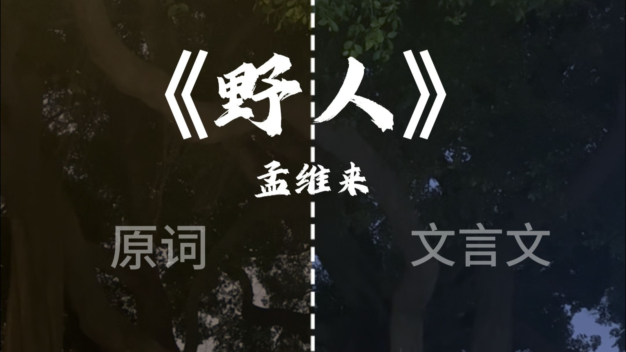 《写这首歌我用了一秒,您能进来听五分钟吗》-闻雨里-音乐鉴赏-哔哩哔哩视频