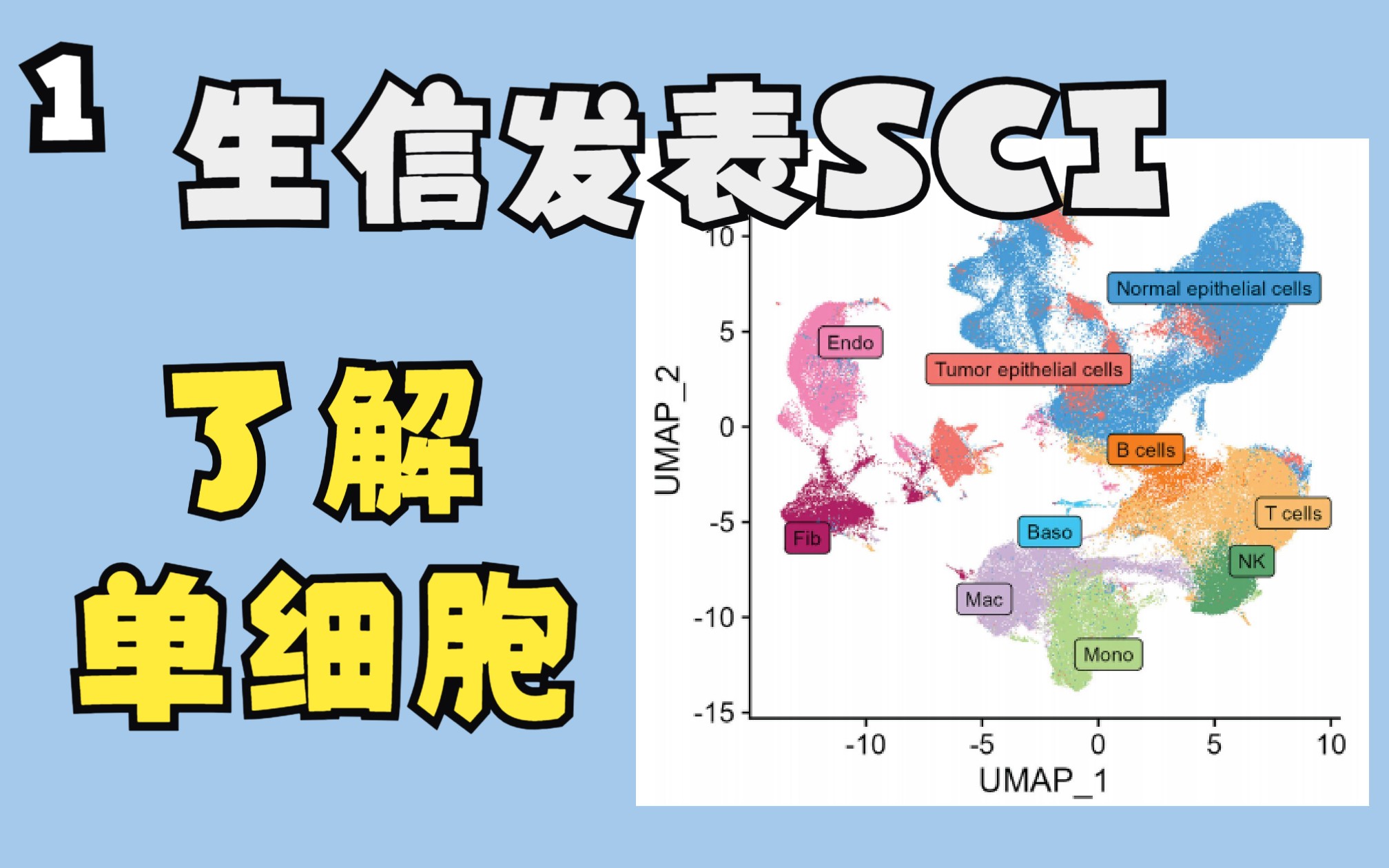 单细胞专题 1了解单细胞哔哩哔哩bilibili