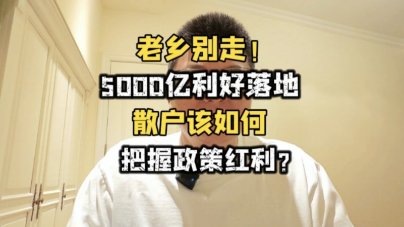 老乡别走!5000亿利好落地,散户该如何把握政策红利?哔哩哔哩bilibili