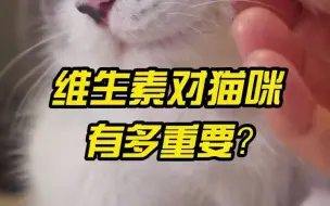 Download Video: 猫咪缺乏维生素会有哪些表现？