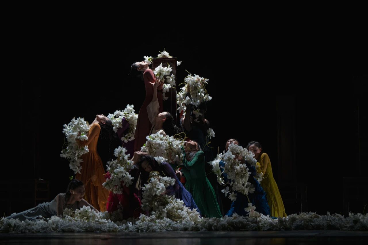 现代舞舞剧《红楼梦》20240203直播版