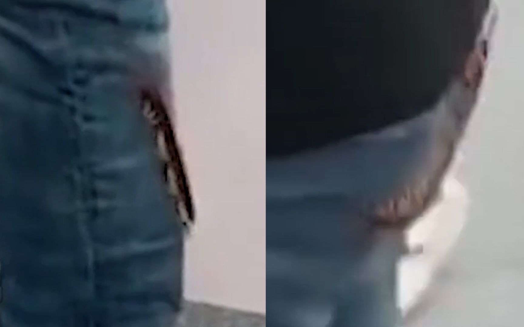 大只蜈蚣突然爬上男子后背!路人吓得刚要提醒,结果下秒当场傻眼