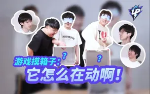 Tải video: 【摸箱子】未解之谜：究竟是谁在动？