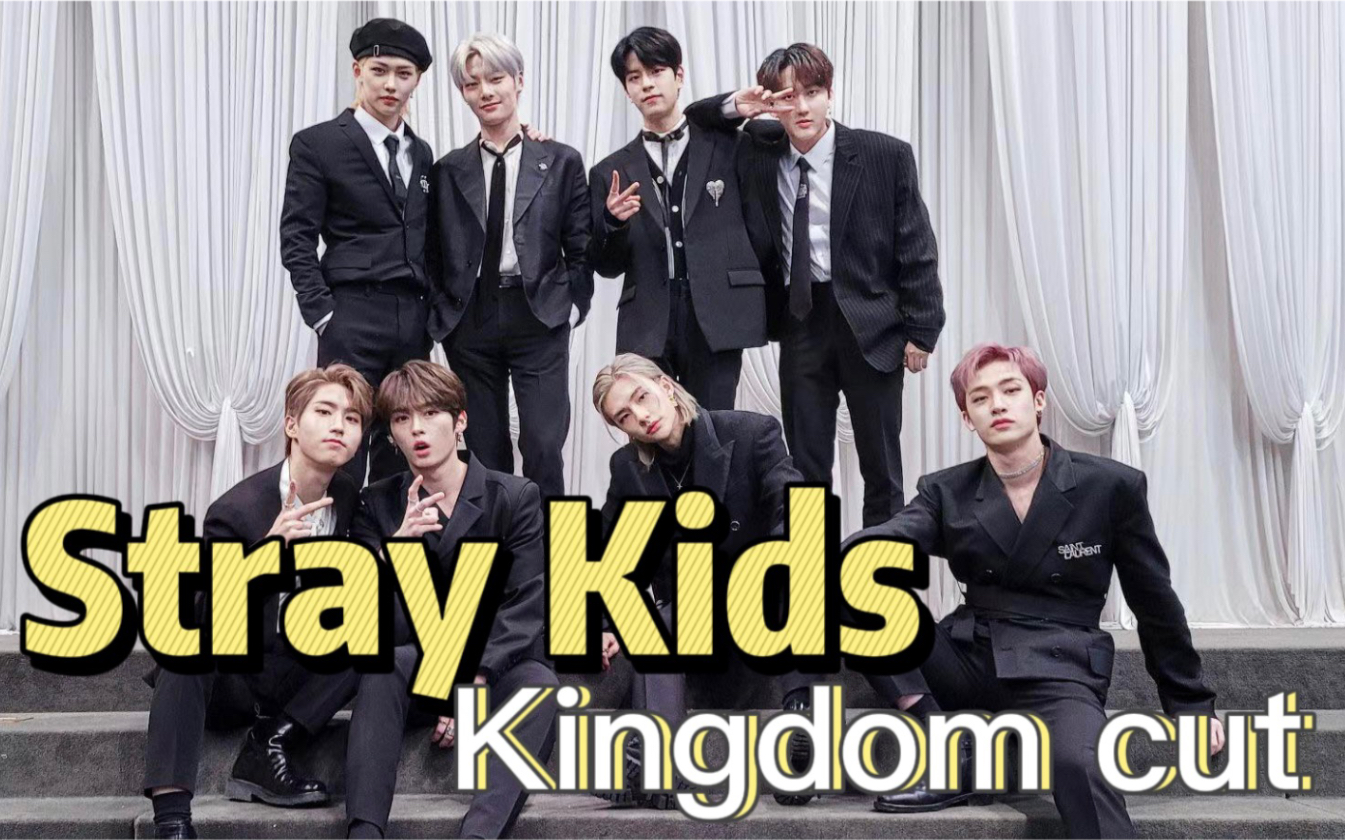 straykidskingdomskzcut中字我们赢啦完结方灿李旻浩徐彰彬黄铉辰