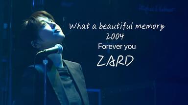 高画质ZARD - 2004年What a beautiful moment_哔哩哔哩_bilibili
