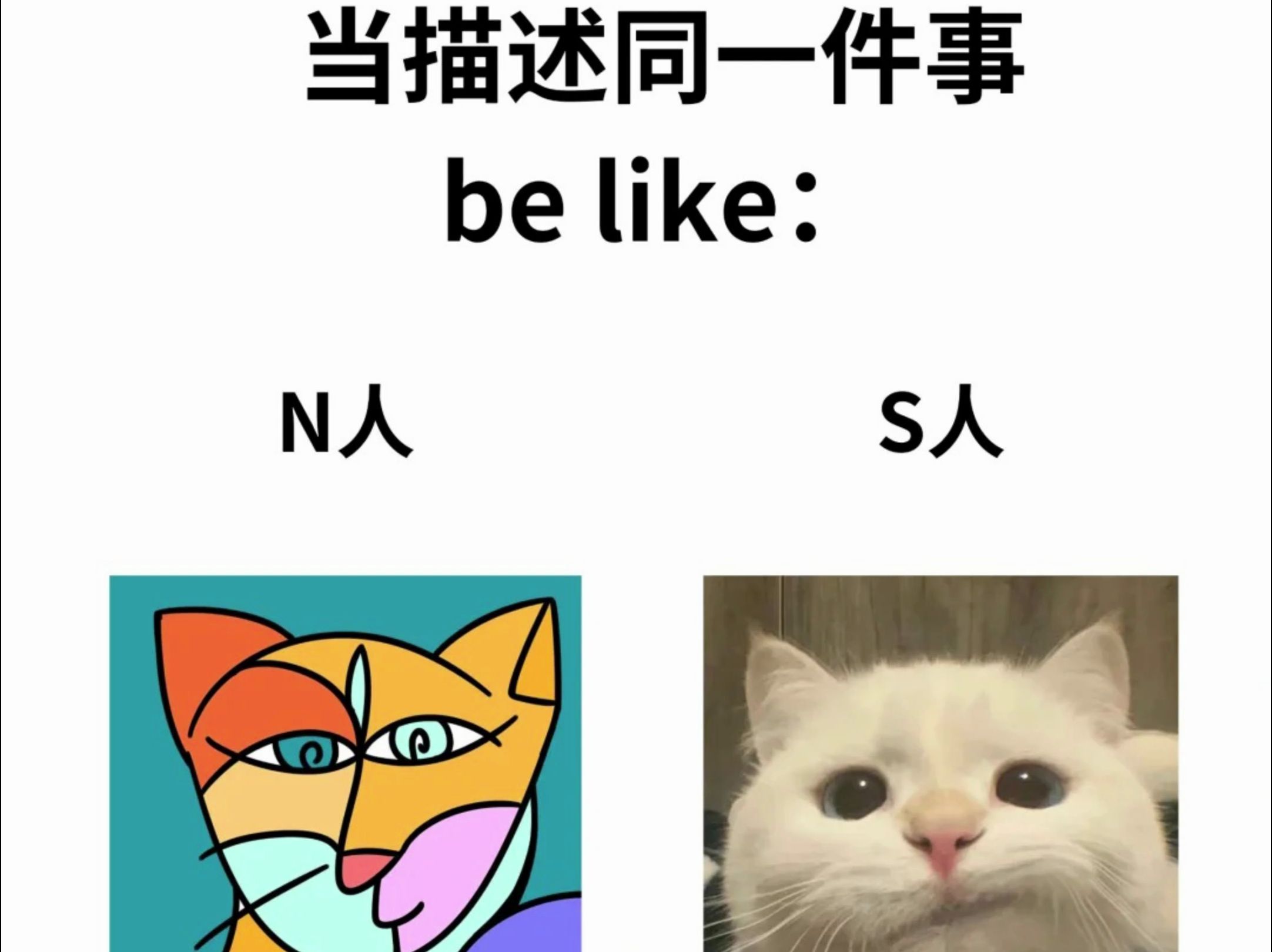 【MBTI梗图】N人和S人的区别哔哩哔哩bilibili