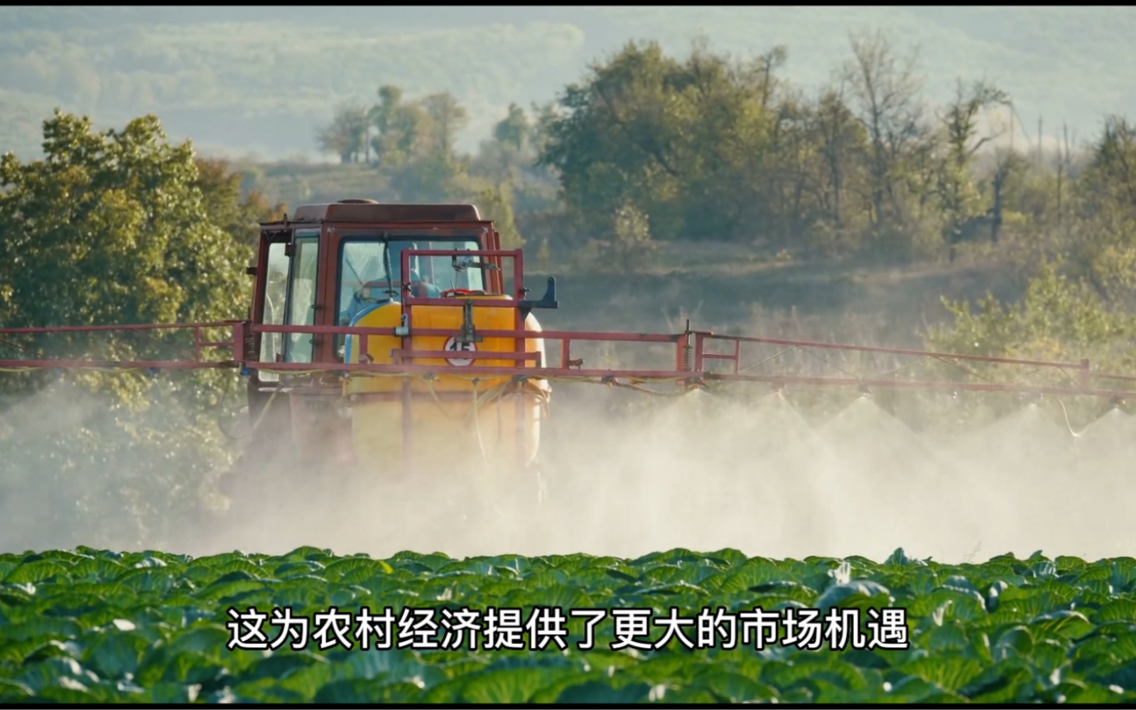 [图]绿色生态农业发展的前景