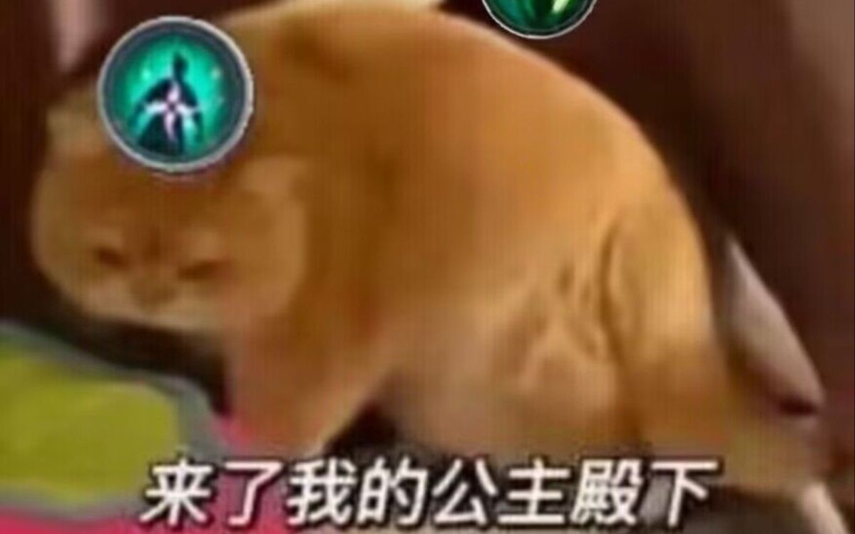 25人英雄九老洞鬼筹-花间游