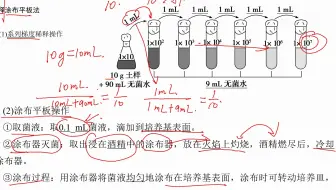 稀释涂布平板法
