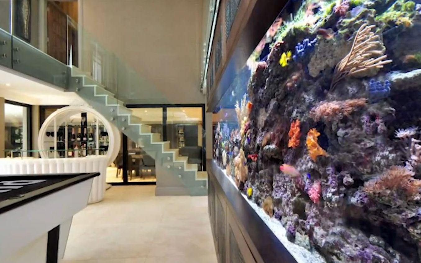 15个令人惊叹的家庭水族馆和鱼缸