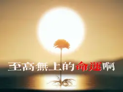 Descargar video: 他也逃不过无人生还的成长  |【华晨宇×不重逢】给坚韧的你