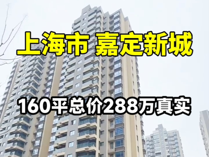 上海嘉定新城万达旁160平一梯一户大平层总价288万真实在售哔哩哔哩bilibili