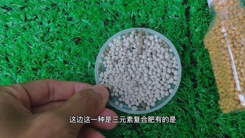 盆栽花卉日常施肥 三种肥料的使用方法 会一种就能养好植物 哔哩哔哩 Bilibili