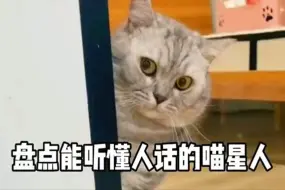 Télécharger la video: 盘点那些能听懂人话的猫咪！