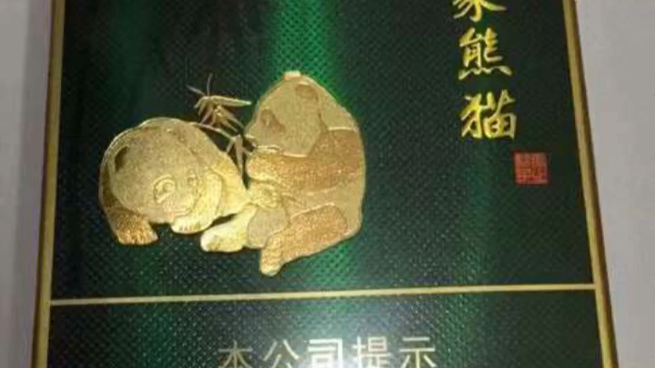 今日推荐_双中支印象熊猫