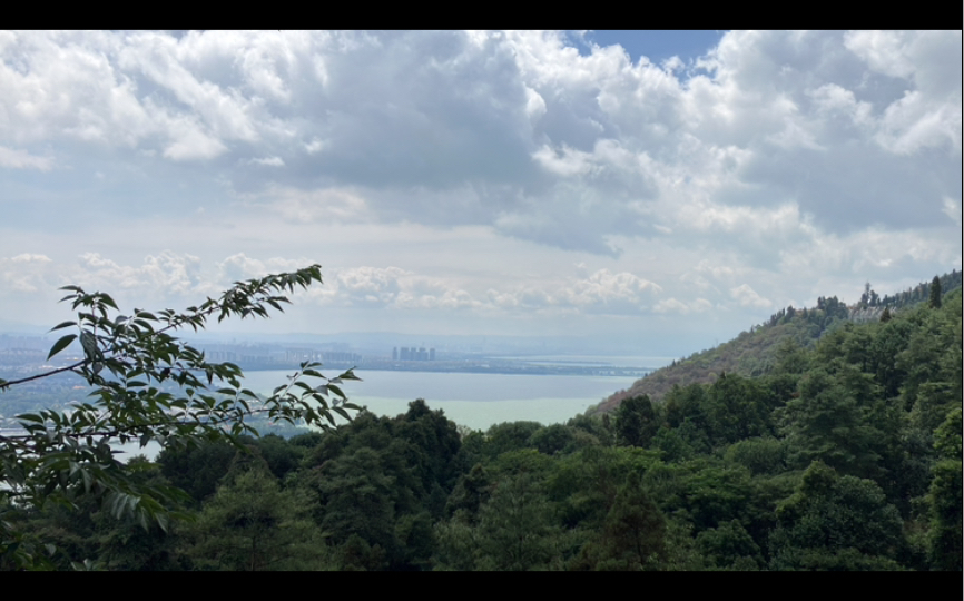 放空状态 |躁动的心在风与光中摇曳着落下