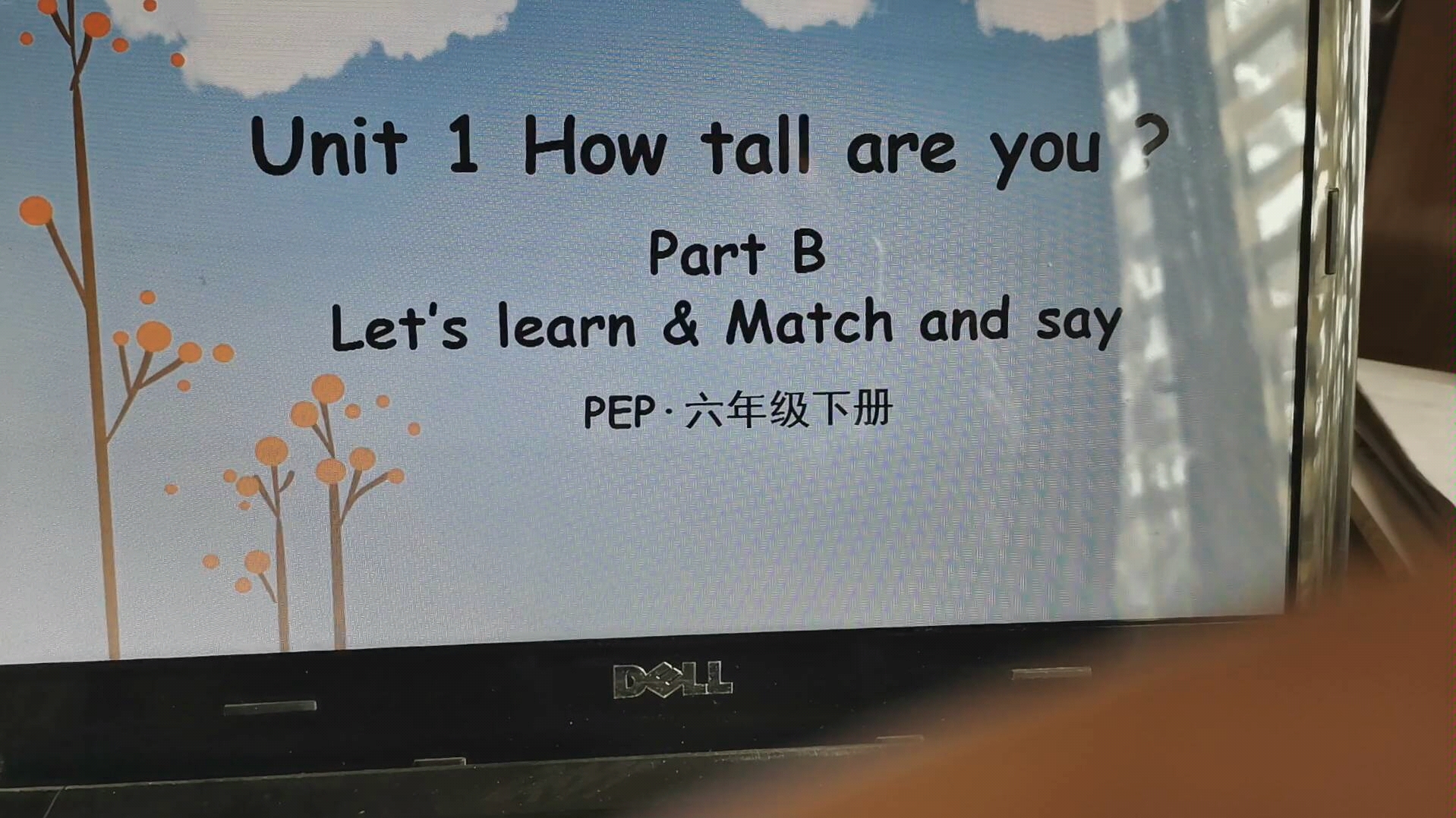 Unit1 How tall are you?PartB Let's learn哔哩哔哩bilibili