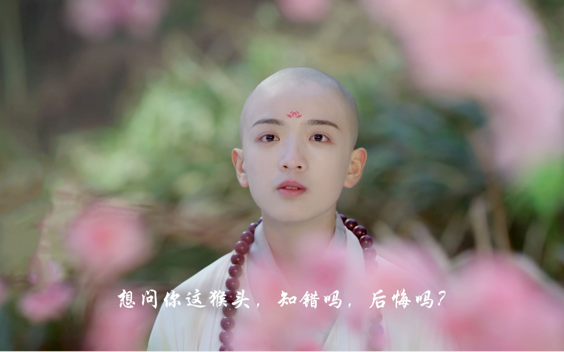 【段智文x葛奕德】【金蝉子|唐僧x孙悟空】你如此横暴张狂,才受那五百