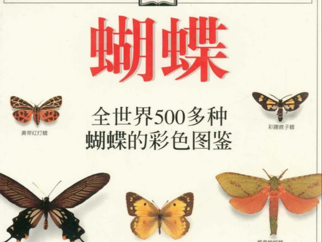 全世界500多种蝴蝶的彩色图鉴(DK)哔哩哔哩bilibili