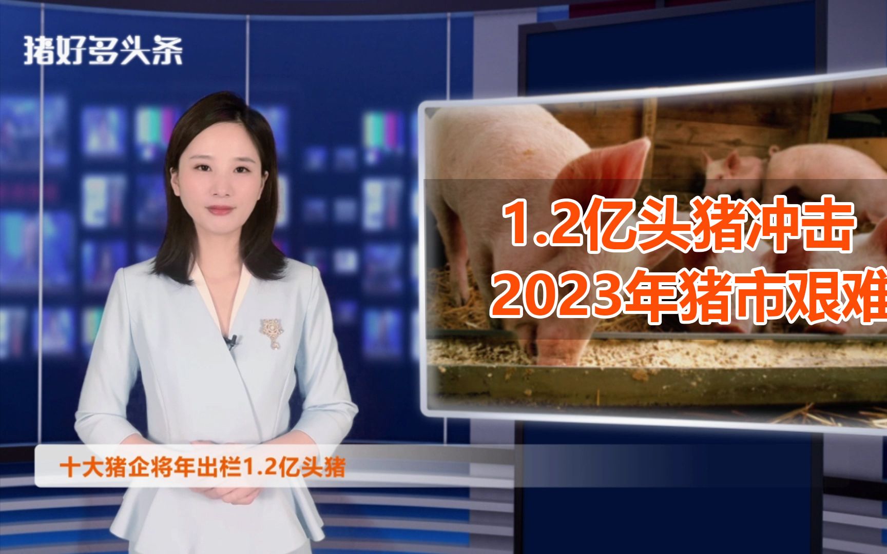 8326万头猪!10大猪企加速出栏,冲击年末猪价?哔哩哔哩bilibili