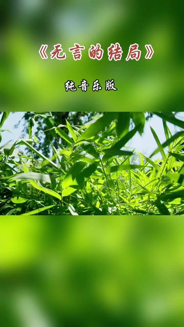 怀旧经典《无言的结局》纯音乐版 #哔哩哔哩bilibili