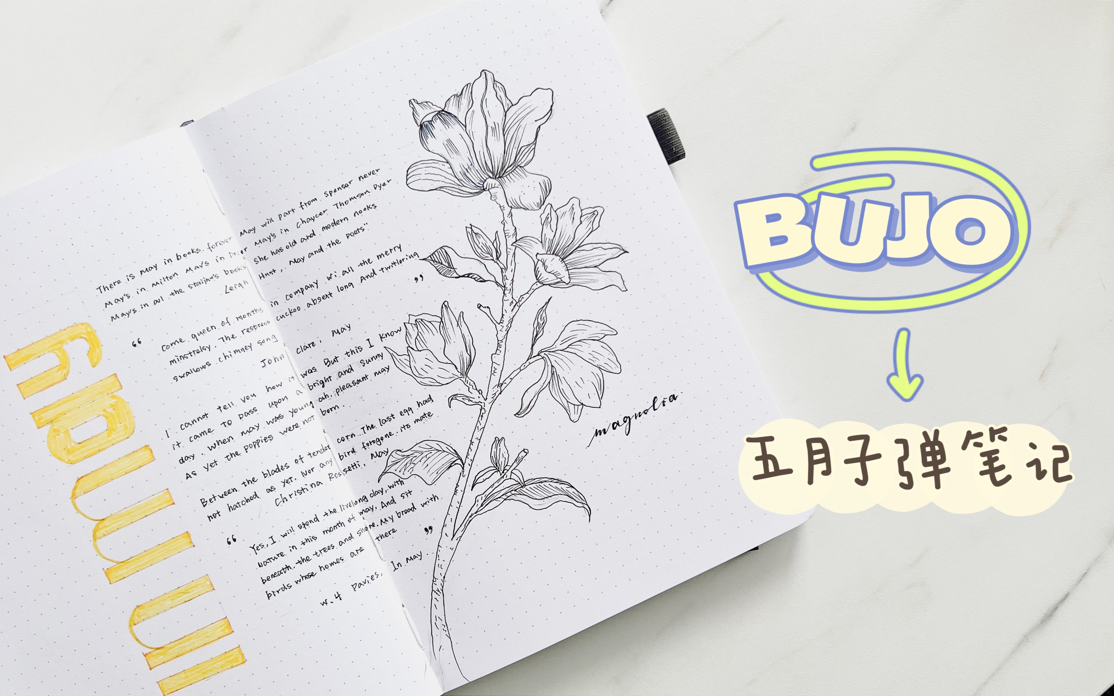 【5月子弹笔记】黑白春天植物主题BUJO设计/极简风bujo/新手友好/黑白风/春天/花朵/bullet journal哔哩哔哩bilibili