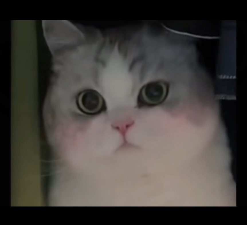 全世界最可爱的多宝大叔