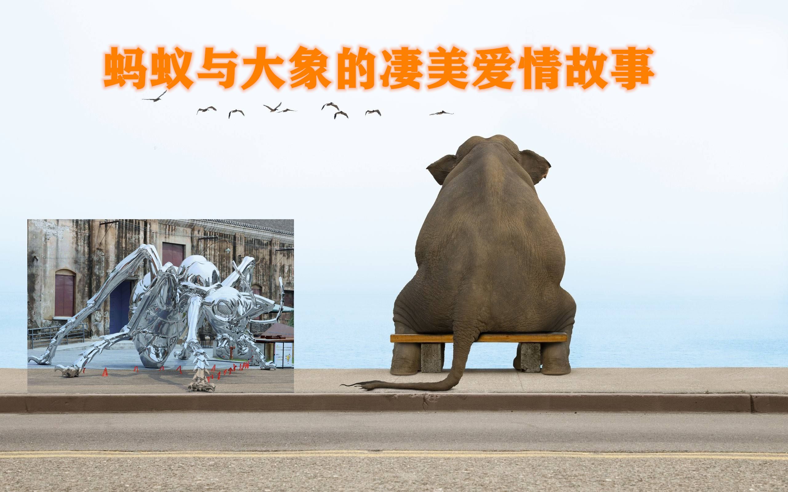 当下热点(蚂蚁与大象的爱情故事)