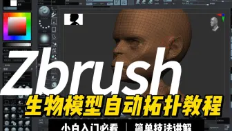 生物模型自动拓扑教程