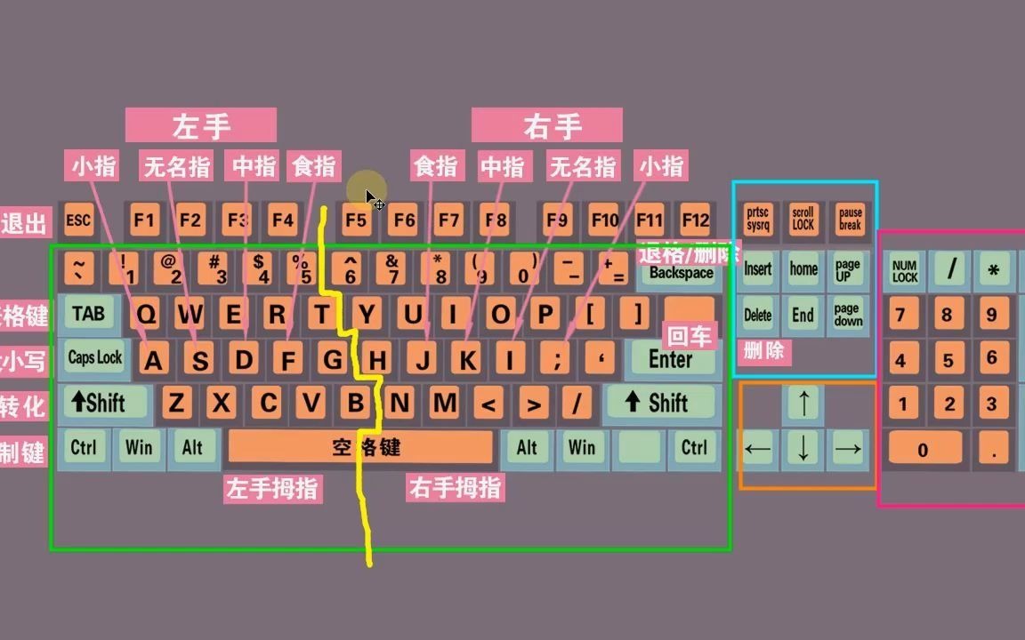 零基础学电脑打字,快速学会键盘打字,适合初学者学习哔哩哔哩bilibili