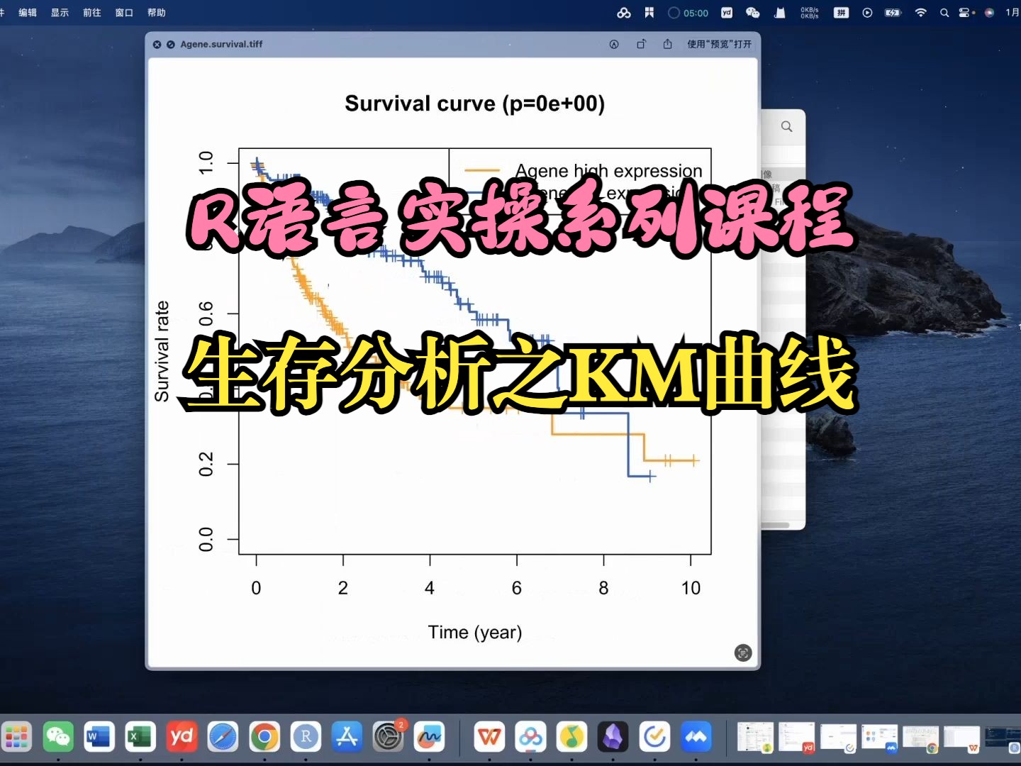 实操课程系列:生存分析之KM曲线哔哩哔哩bilibili