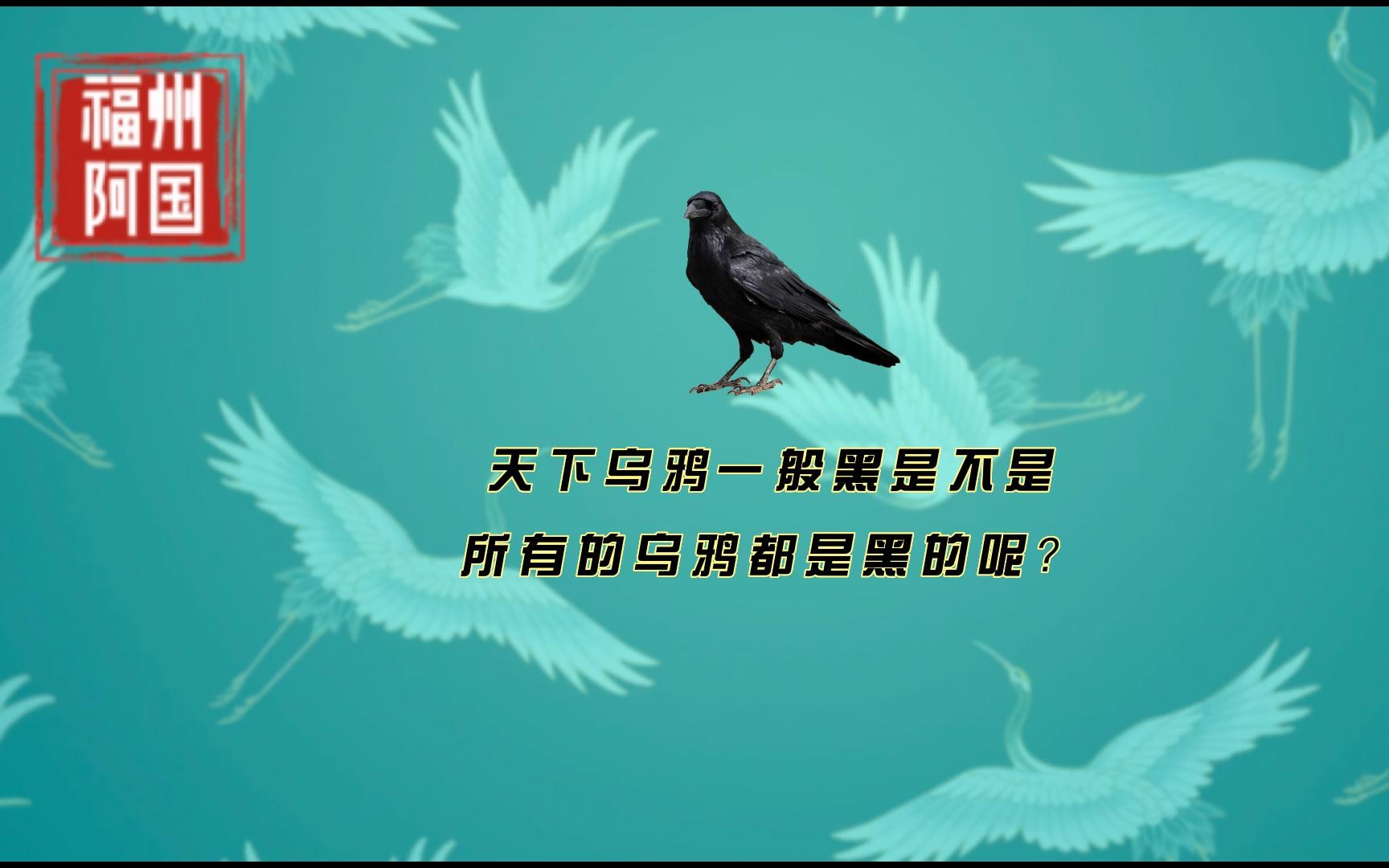 天下乌鸦一般黑是不是所有的乌鸦都是黑的呢?