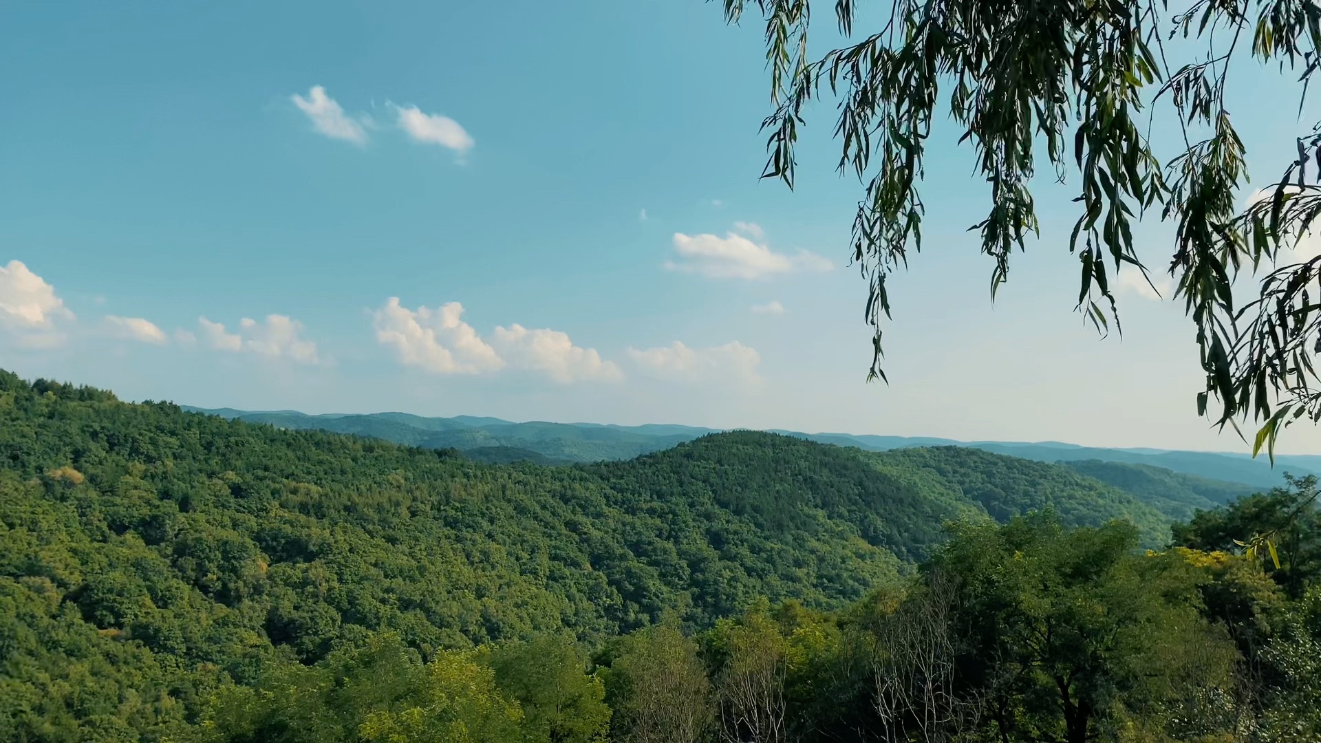 子午岭(九岘)风光