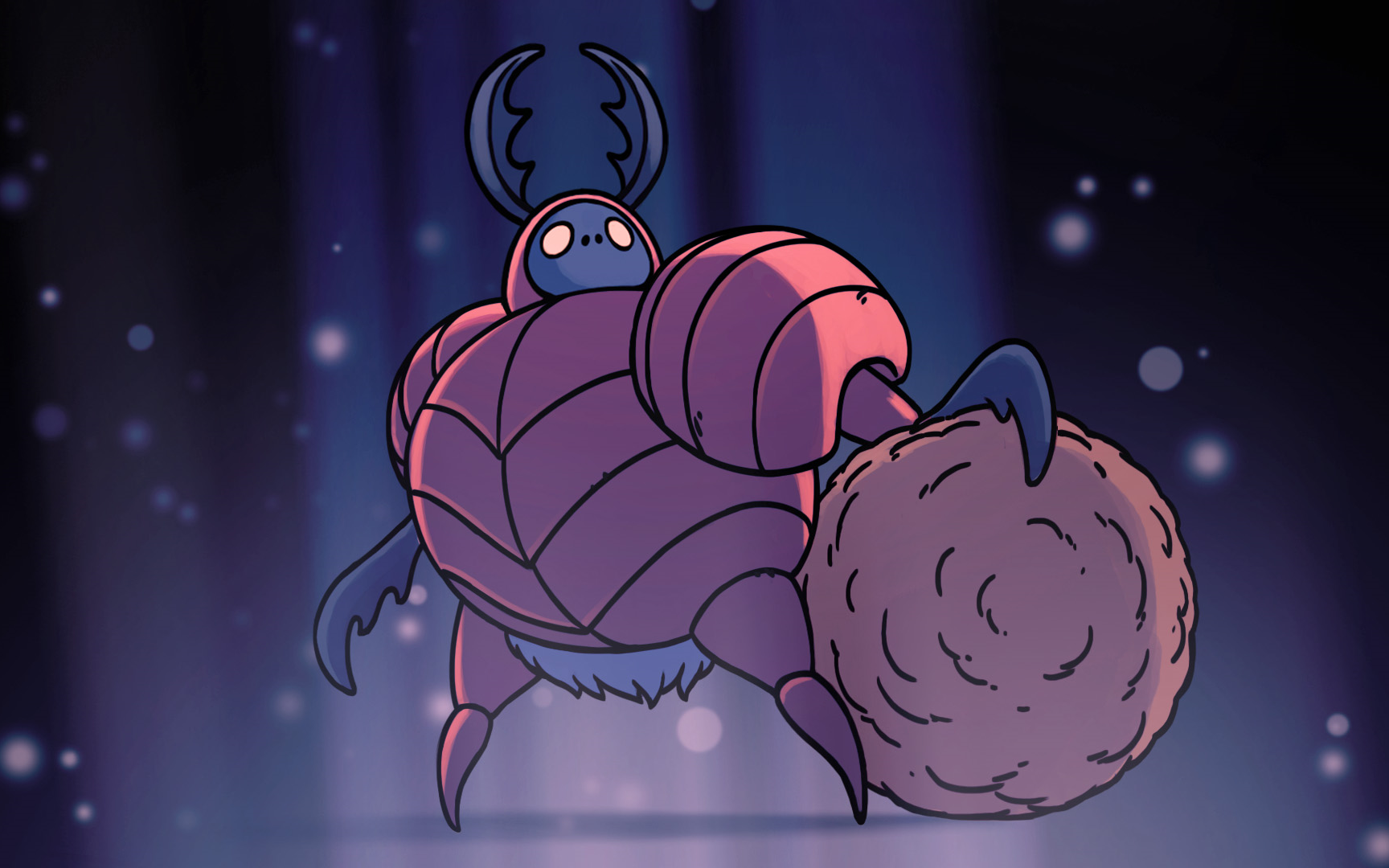 空洞骑士新手向无伤白芬达开头为开胃菜