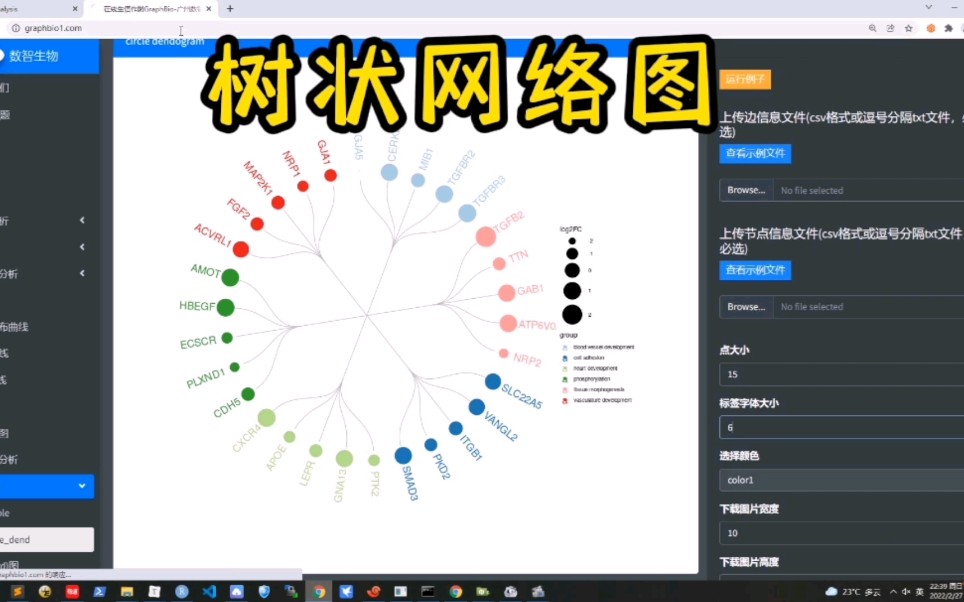 环形树状网络图,可用GraphBio在线画!哔哩哔哩bilibili