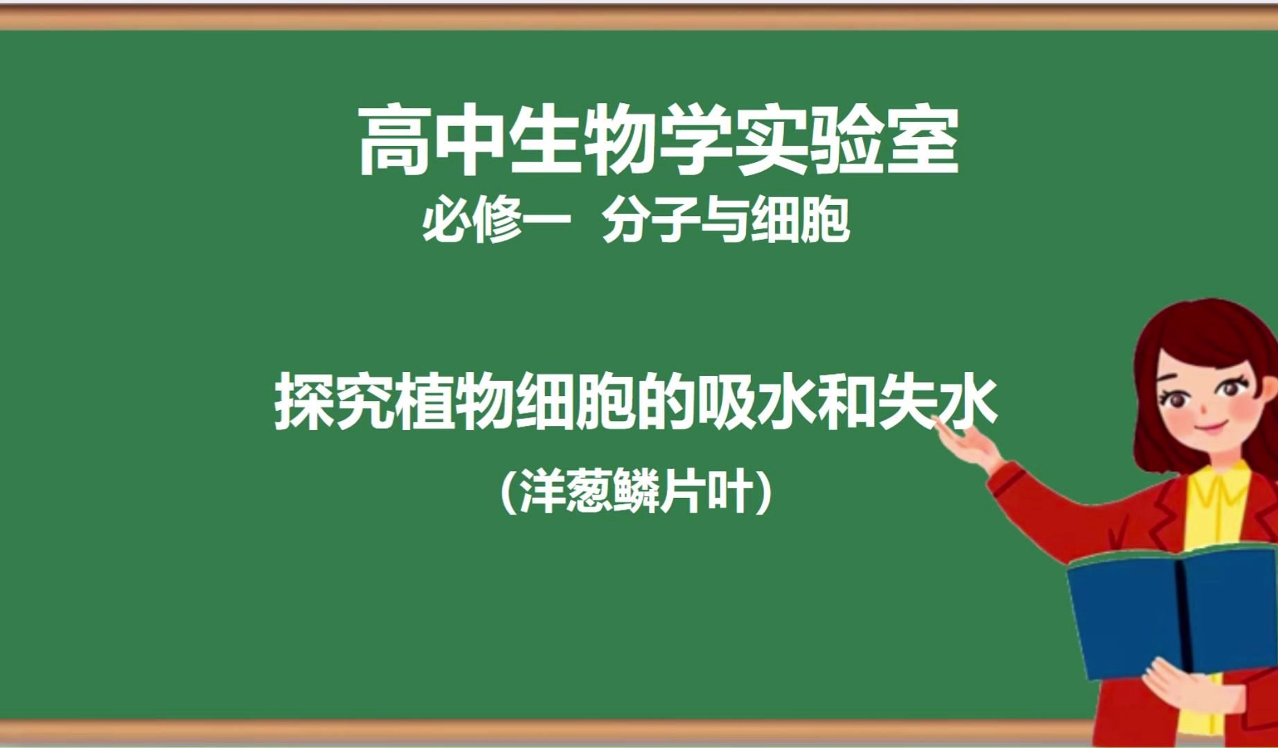 卡诺氏液高中生物实验图片