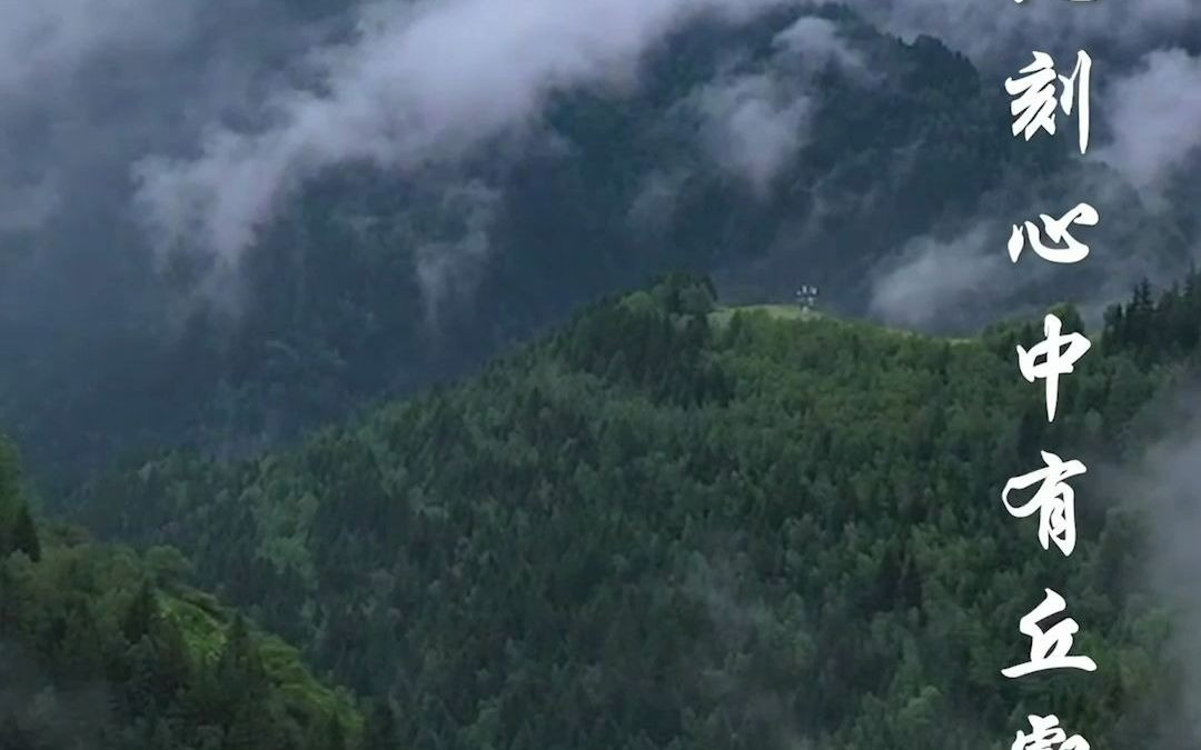 [图]峰峦重叠，山峰尖峭，森林广茂，穿行于#山西芦芽山，如在画中，流连忘返。