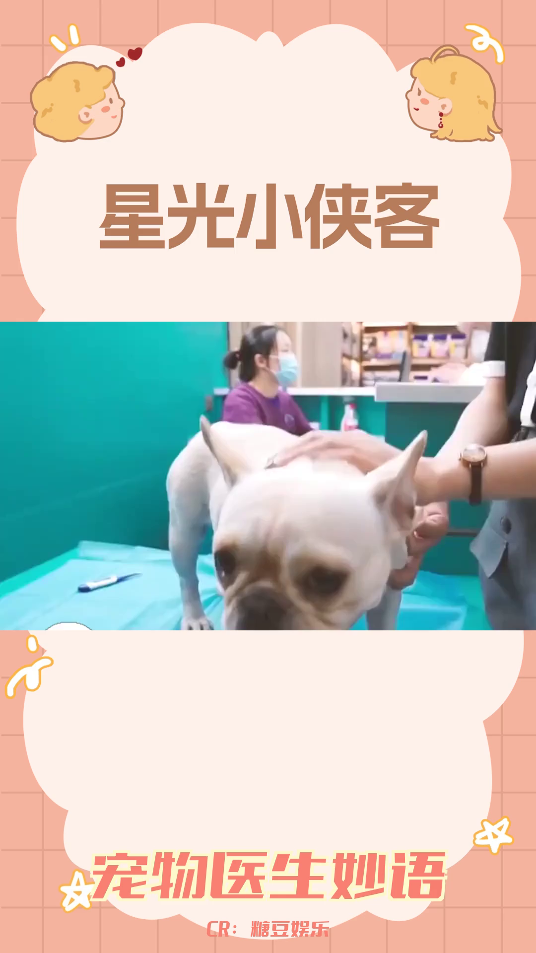 宠物医生:揭秘那些让你捧腹的暖心瞬间哔哩哔哩bilibili